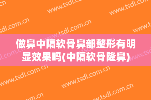 做鼻中隔软骨鼻部整形有明显效果吗(中隔软骨隆鼻)