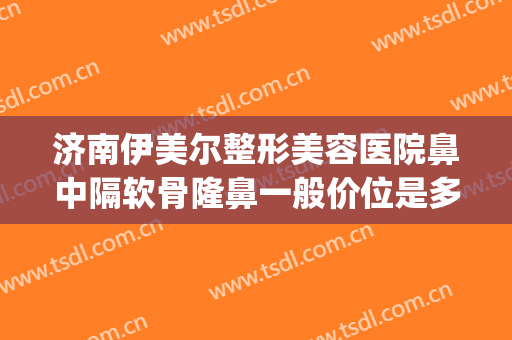 济南伊美尔整形美容医院鼻中隔软骨隆鼻一般价位是多少钱?好不好?(软骨隆鼻一般在什么价位)