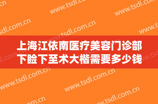 上海江依南医疗美容门诊部下睑下至术大楷需要多少钱?怎么样?(上海做上睑下垂哪个医院好)