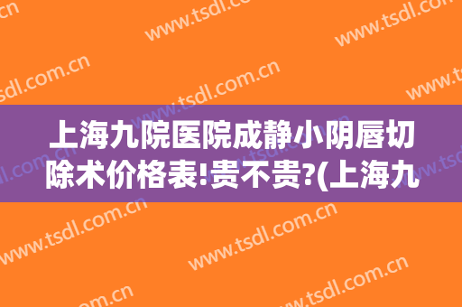 上海九院医院成静小阴唇切除术价格表!贵不贵?(上海九院薄唇手术)