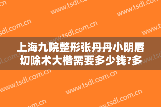 上海九院整形张丹丹小阴唇切除术大楷需要多少钱?多长时间恢复?