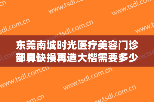 东莞南城时光医疗美容门诊部鼻缺损再造大楷需要多少费用?好不好?