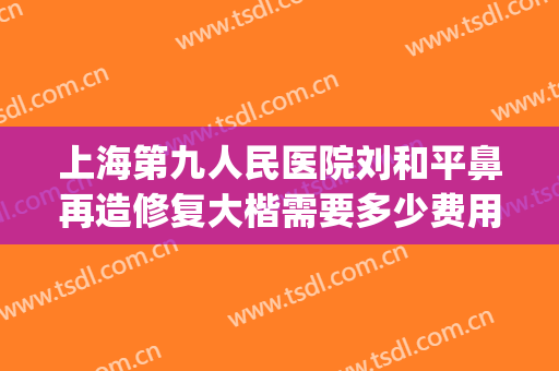 上海第九人民医院刘和平鼻再造修复大楷需要多少费用?怎么样?(好大夫 九院鼻整形)