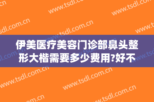伊美医疗美容门诊部鼻头整形大楷需要多少费用?好不好?(美伊整形医院怎么样)