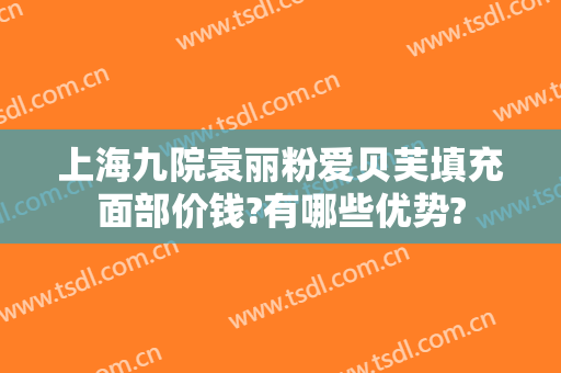 上海九院袁丽粉爱贝芙填充面部价钱?有哪些优势?