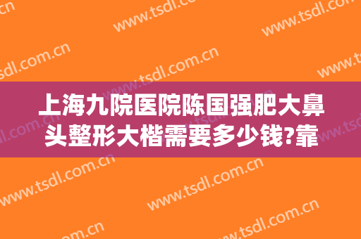 上海九院医院陈国强肥大鼻头整形大楷需要多少钱?靠谱吗?(上海第九医院鼻子整形案例)