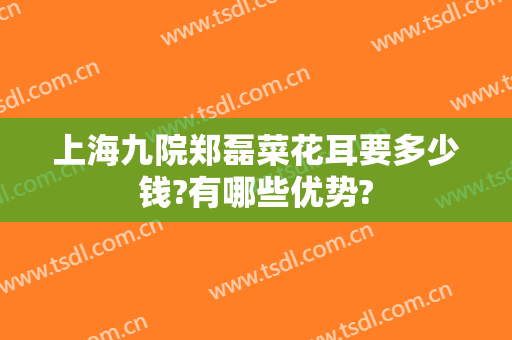 上海九院郑磊菜花耳要多少钱?有哪些优势?