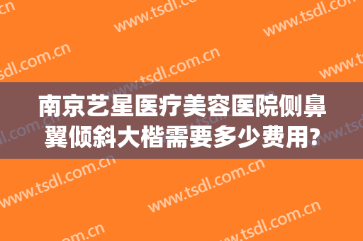 南京艺星医疗美容医院侧鼻翼倾斜大楷需要多少费用?怎么样?(南京做鼻中隔偏曲矫正术好的医院)
