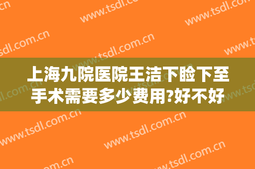 上海九院医院王洁下睑下至手术需要多少费用?好不好?(上海九院上睑下垂手术比较好的医生)