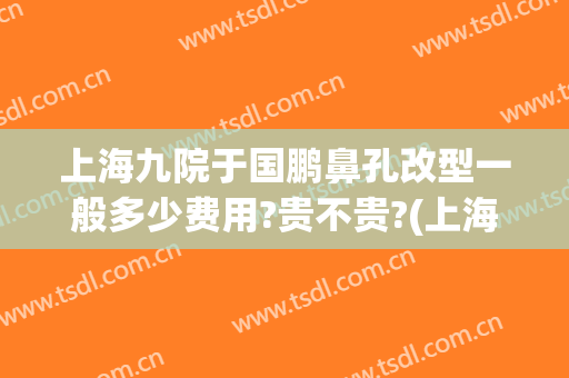 上海九院于国鹏鼻孔改型一般多少费用?贵不贵?(上海九院隆鼻多少钱)