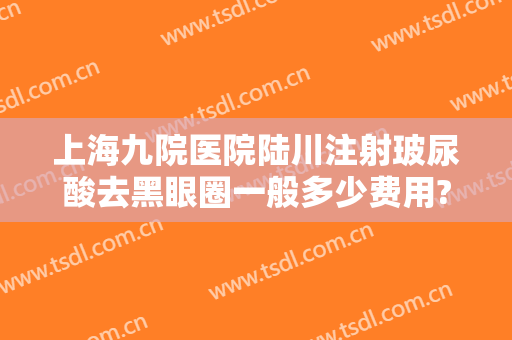 上海九院医院陆川注射玻尿酸去黑眼圈一般多少费用?效果怎么样?