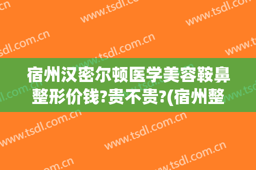宿州汉密尔顿医学美容鞍鼻整形价钱?贵不贵?(宿州整形医院排名前三的)
