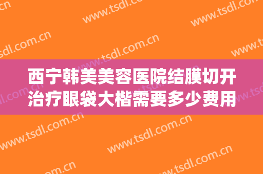 西宁韩美美容医院结膜切开治疗眼袋大楷需要多少费用?靠谱吗?(大连去眼袋手术的价格)