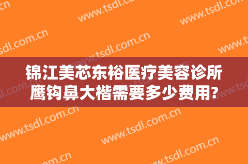 锦江美芯东裕医疗美容诊所鹰钩鼻大楷需要多少费用?靠谱吗?
