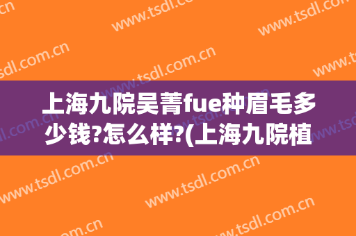 上海九院吴菁fue种眉毛多少钱?怎么样?(上海九院植眉多少钱)
