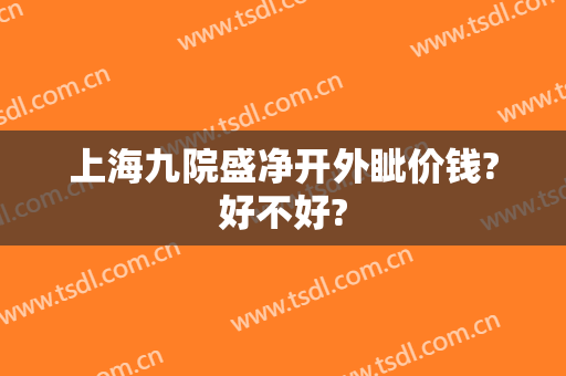 上海九院盛净开外眦价钱?好不好?