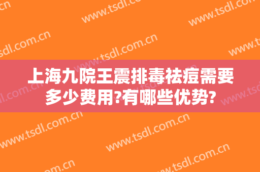 上海九院王震排毒祛痘需要多少费用?有哪些优势?