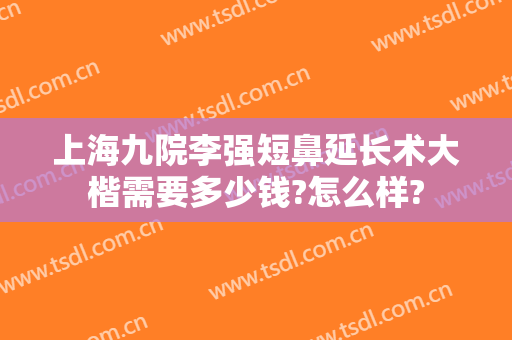 上海九院李强短鼻延长术大楷需要多少钱?怎么样?