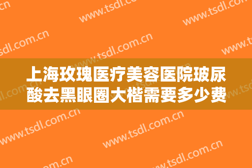 上海玫瑰医疗美容医院玻尿酸去黑眼圈大楷需要多少费用?效果怎么样?