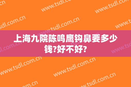 上海九院陈鸣鹰钩鼻要多少钱?好不好?
