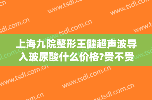 上海九院整形王健超声波导入玻尿酸什么价格?贵不贵?(上海九院打玻尿酸吗)
