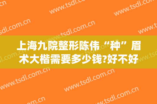 上海九院整形陈伟“种”眉术大楷需要多少钱?好不好?(名医整形切眉多少钱啊)