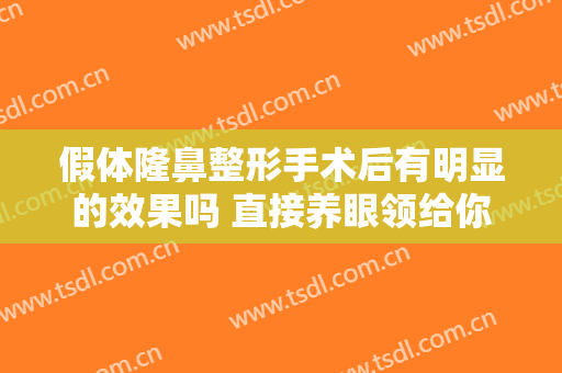 假体隆鼻整形手术后有明显的效果吗 直接养眼领给你