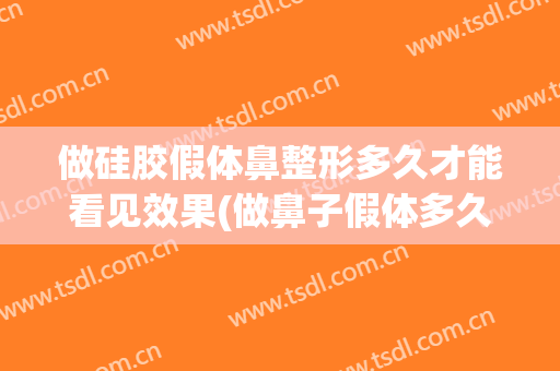 做硅胶假体鼻整形多久才能看见效果(做鼻子假体多久可以做修复)