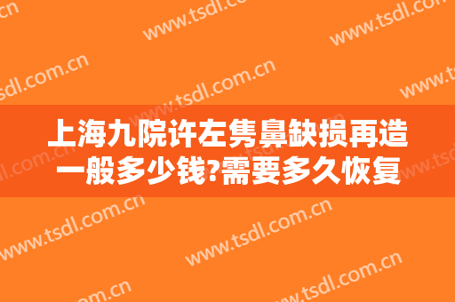 上海九院许左隽鼻缺损再造一般多少钱?需要多久恢复?