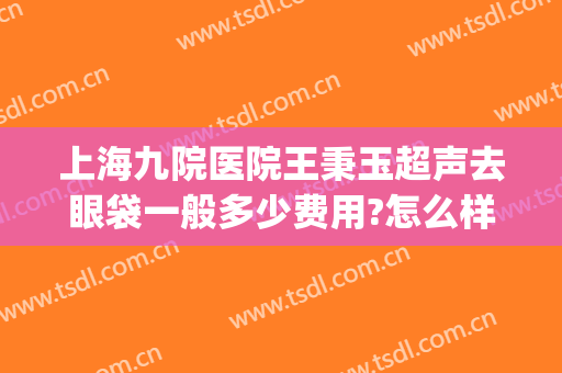 上海九院医院王秉玉超声去眼袋一般多少费用?怎么样?(上海九院做眼袋哪个专家好)