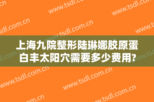 上海九院整形陆琳娜胶原蛋白丰太阳穴需要多少费用?怎么样?