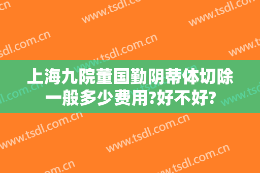 上海九院董国勤阴蒂体切除一般多少费用?好不好?
