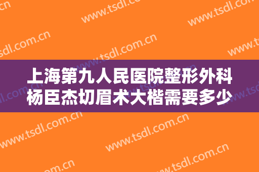 上海第九人民医院整形外科杨臣杰切眉术大楷需要多少费用?怎么样?