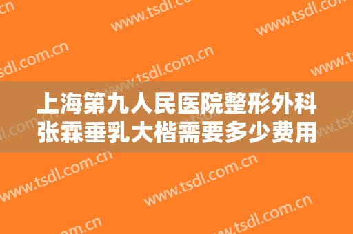 上海第九人民医院整形外科张霖垂乳大楷需要多少费用?有哪些优势?