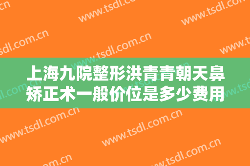 上海九院整形洪青青朝天鼻矫正术一般价位是多少费用?贵不贵?