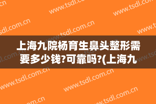 上海九院杨育生鼻头整形需要多少钱?可靠吗?(上海九院鼻部整形价格)
