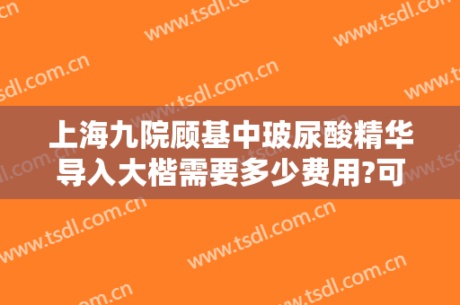 上海九院顾基中玻尿酸精华导入大楷需要多少费用?可靠吗?