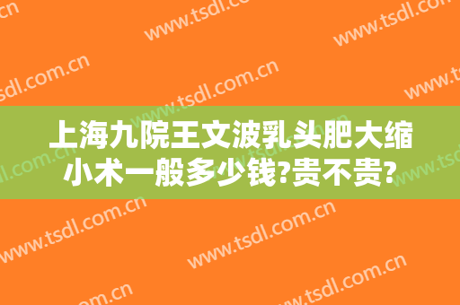 上海九院王文波乳头肥大缩小术一般多少钱?贵不贵?