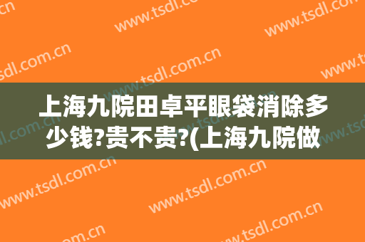 上海九院田卓平眼袋消除多少钱?贵不贵?(上海九院做眼袋价格)