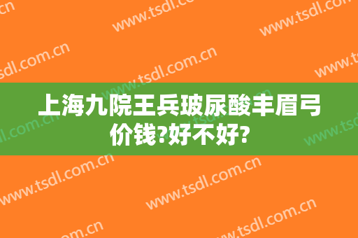 上海九院王兵玻尿酸丰眉弓价钱?好不好?