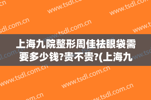 上海九院整形周佳祛眼袋需要多少钱?贵不贵?(上海九院整形科做眼袋哪个专家好)