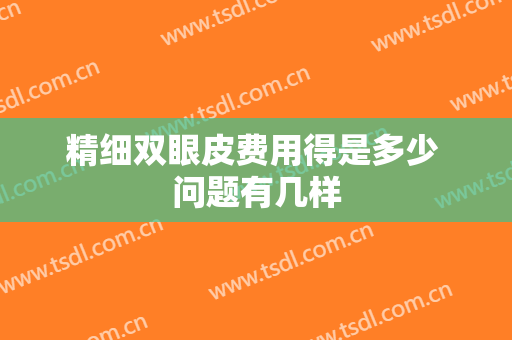 精细双眼皮费用得是多少 问题有几样