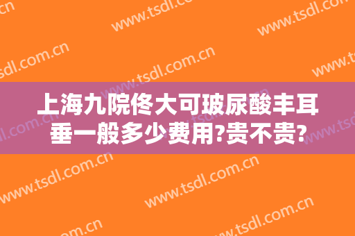 上海九院佟大可玻尿酸丰耳垂一般多少费用?贵不贵?