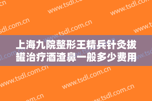 上海九院整形王精兵针灸拔罐治疗酒渣鼻一般多少费用?效果怎么样?