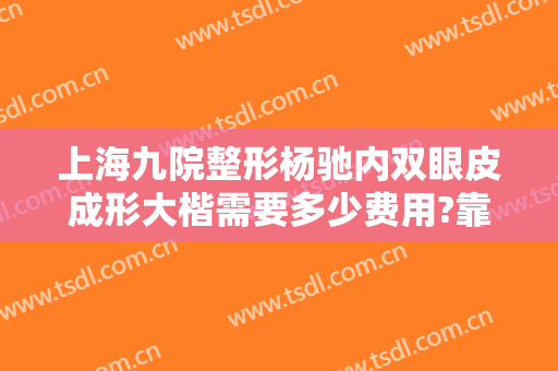 上海九院整形杨驰内双眼皮成形大楷需要多少费用?靠谱吗?