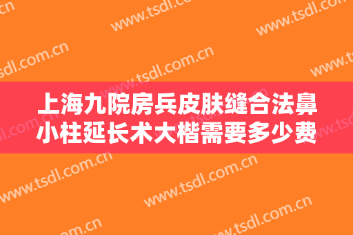上海九院房兵皮肤缝合法鼻小柱延长术大楷需要多少费用?好不好?
