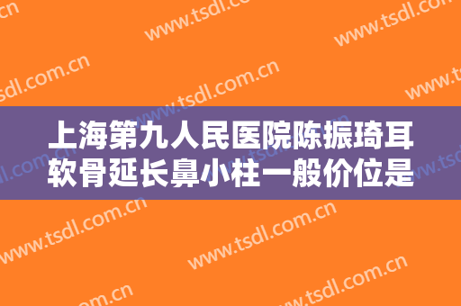 上海第九人民医院陈振琦耳软骨延长鼻小柱一般价位是多少钱?好不好?
