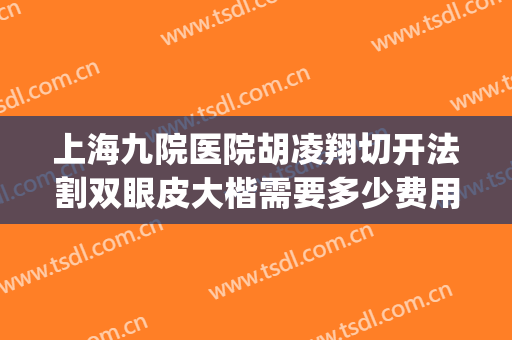 上海九院医院胡凌翔切开法割双眼皮大楷需要多少费用?靠谱吗?(上海九院双眼皮手术)