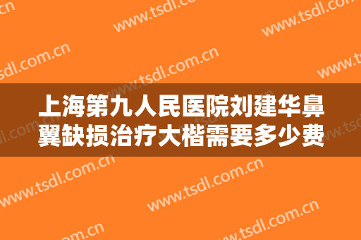 上海第九人民医院刘建华鼻翼缺损治疗大楷需要多少费用?有哪些优势?