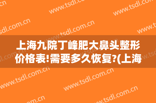 上海九院丁峰肥大鼻头整形价格表!需要多久恢复?(上海九院谢峰隆鼻)